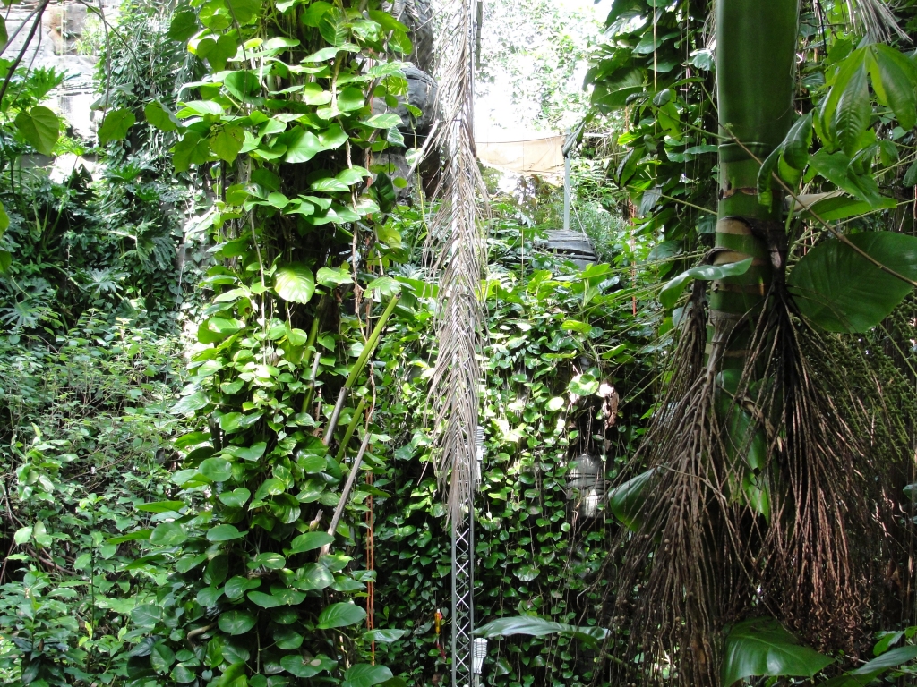 Biosphere 2 Gallery